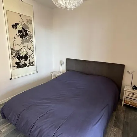 Apartment T2 Avec Terrasse Et Vue Ocean A Vieux-boucau - Fr-1-379-176 *
